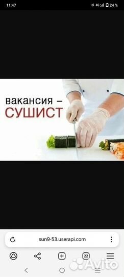 Помощник сушиста