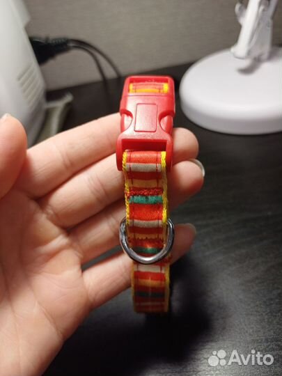 Ошейник для собак мелких пород