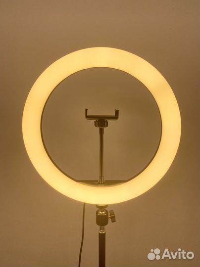Кольцевая лампа 33см + Штатив в подарок + Доставка