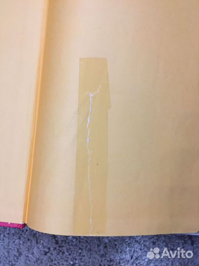 Лучшие сказки мира. Галина Шалаева