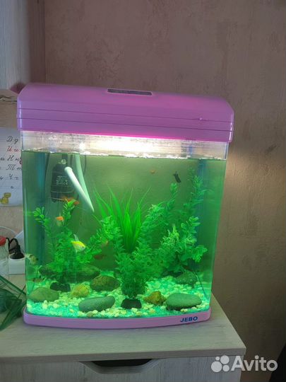 Аквариум