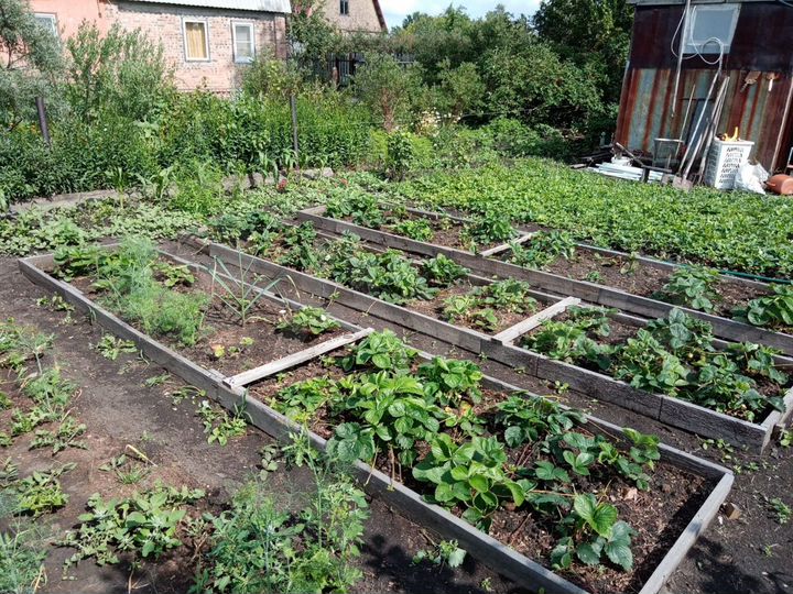 Дача 20 м² на участке 6 сот.