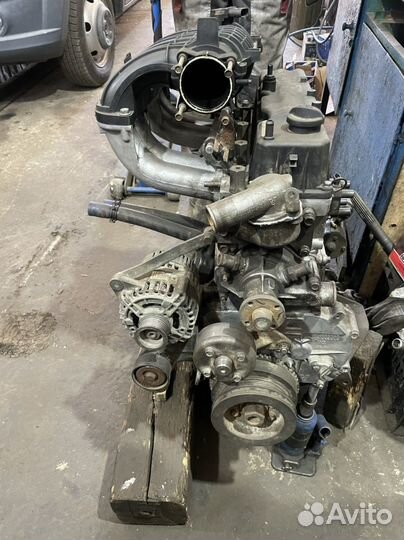 Двигатель на газель умз А274 эвотек (evotech)