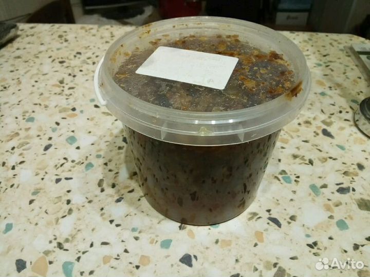 Забрус, мед 2023