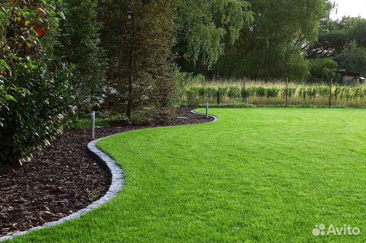 Рулонный газон напрямую от производителя