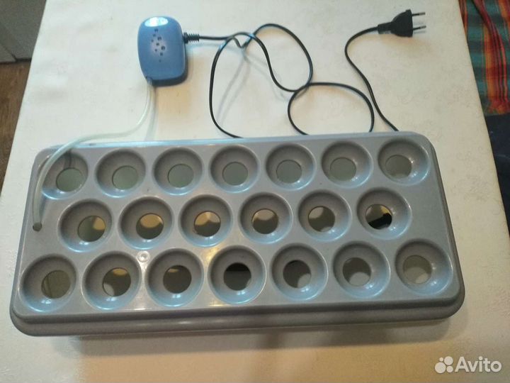 Прибор для выращивания лука 