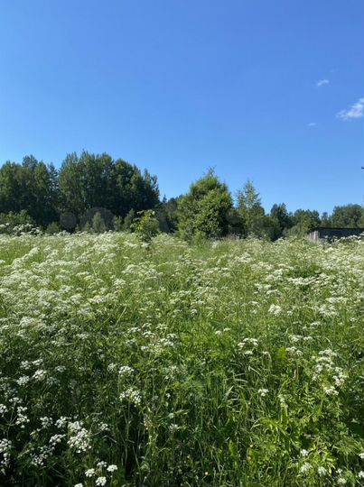 Участок 15 сот. (ИЖС)