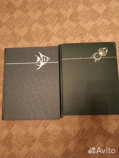 Жизнь животных