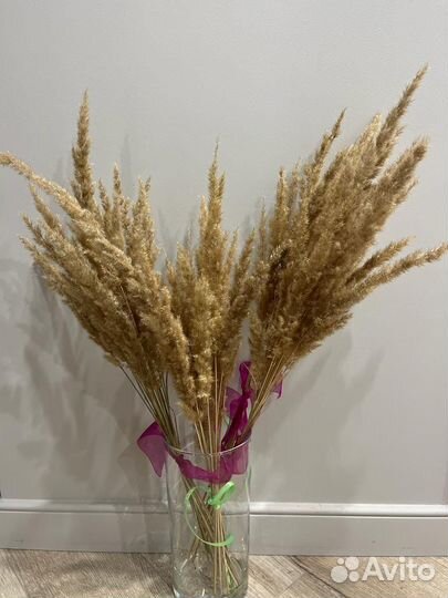 Цветы сухоцветы