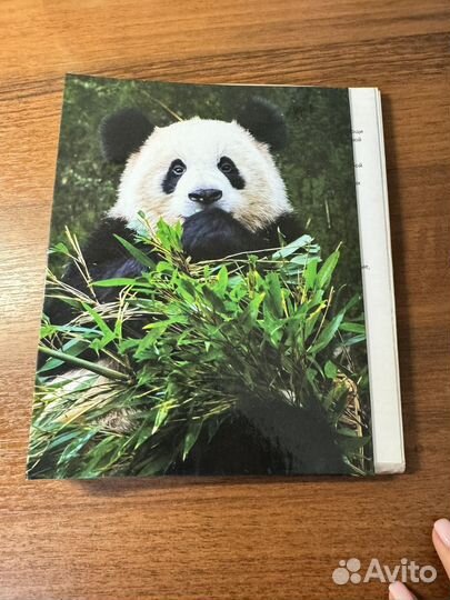 Конспект медицина катастроф для мед колледжа