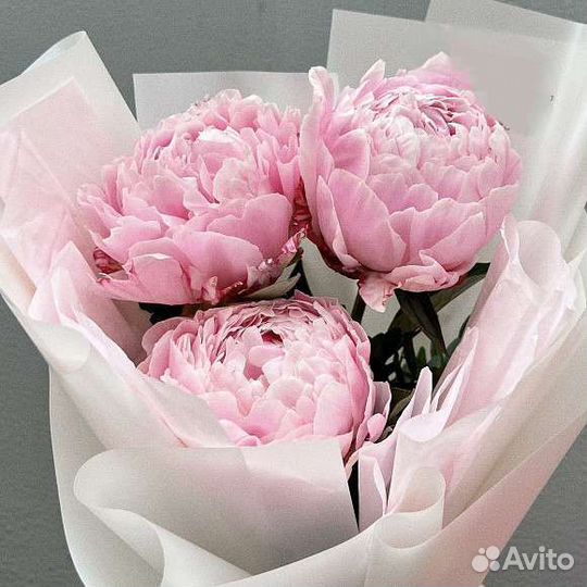 Букет из пионов премиум класса