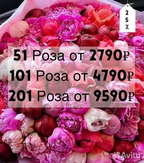 101 Роза Букеты Цветы