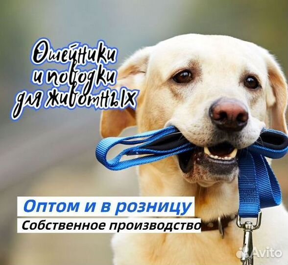 Ошейники и поводки для собак оптом и в розницу