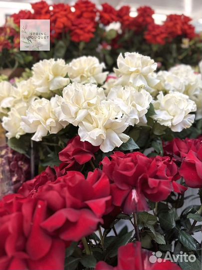 Букеты и цветы. Гортензия и гипсофилы