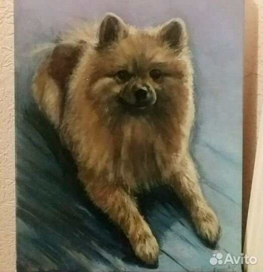 Портрет собаки, кошки, лошади, питомца на заказ. К