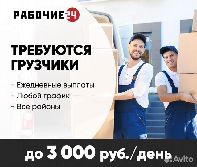 Грузчики подработка ежедневные выплаты