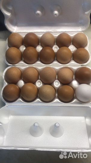 Деревенские яйца