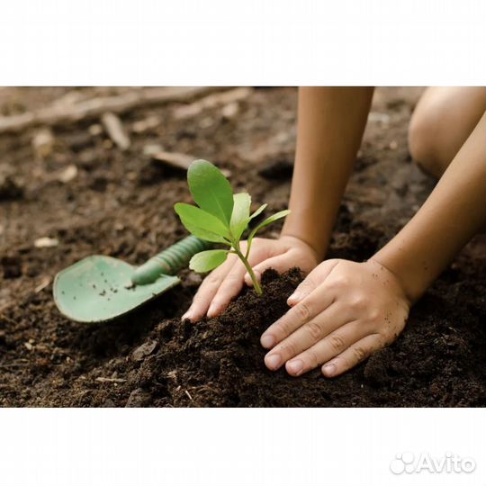 Разнорабочий(ая)