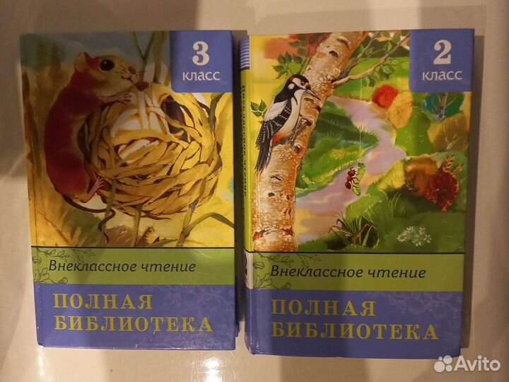 Внеклассное чтение