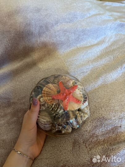 Набор ракушек подарочный для аквариума