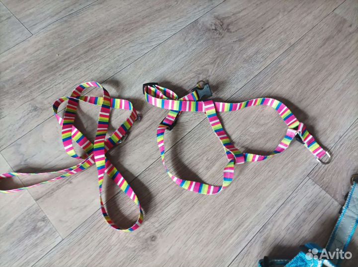 Шлейка для маленькой собаки