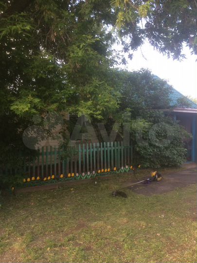 Дом 60 м² на участке 49 сот.