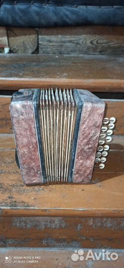 Гармошка Теза