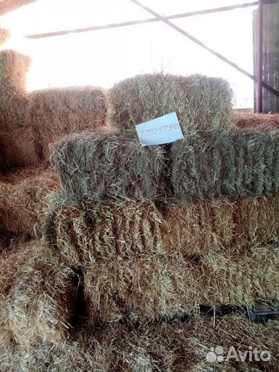 Сено солома в тюках