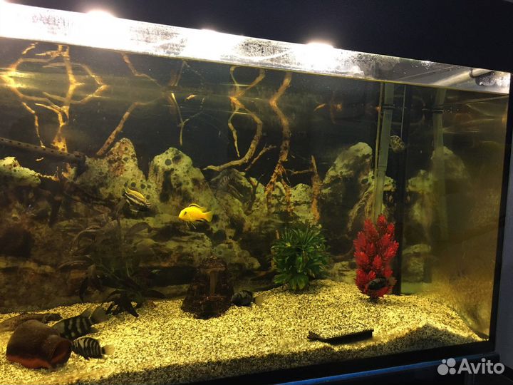 Аквариум 400 литров с тумбой
