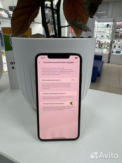 iPhone Xs Max, 256 ГБ