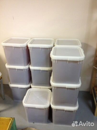 Алтайский мед