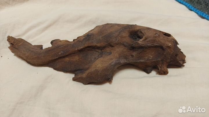 Коряги для аквариума