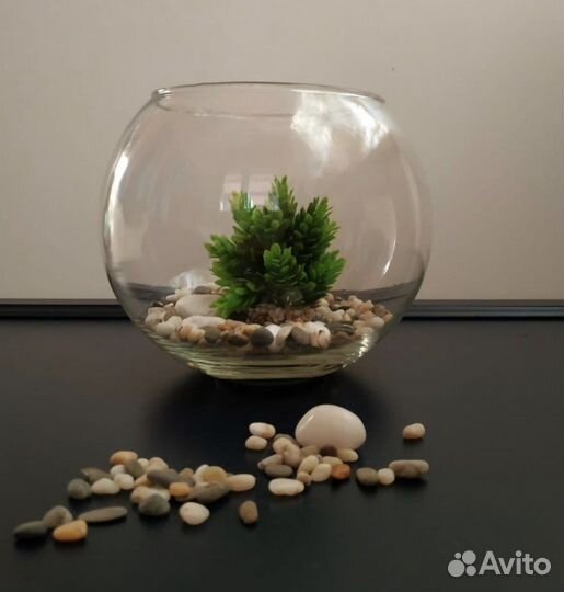 Новый аквариум