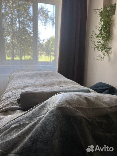 Аксесс Барс, Аксесс Фейслифт, телесные процессы