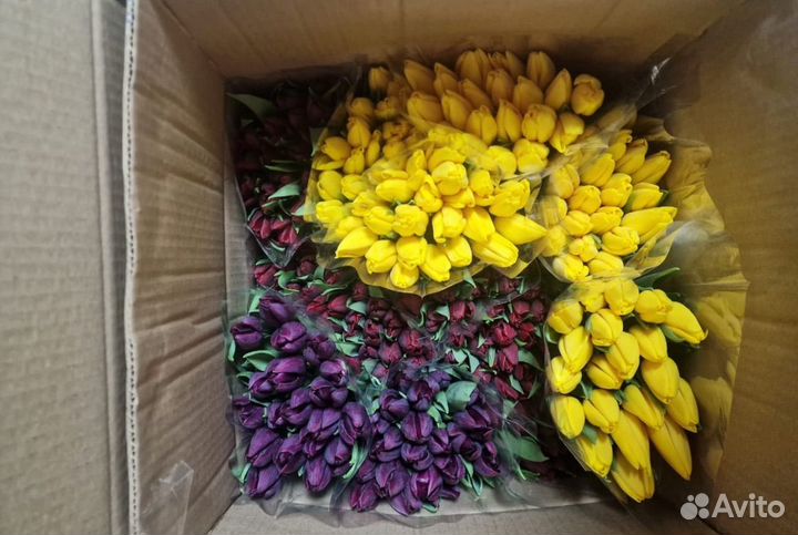 Тюльпаны розница