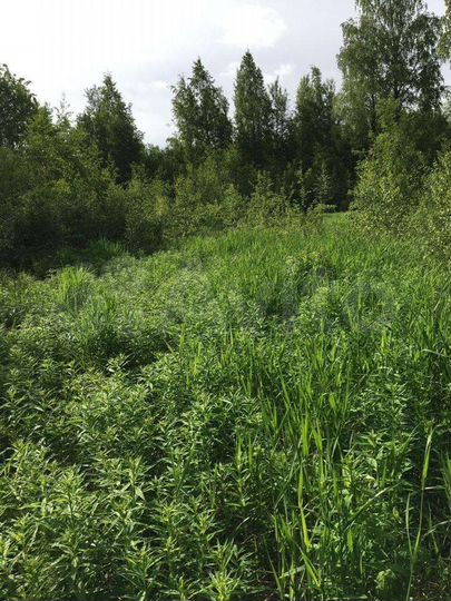 Участок 12 сот. (ИЖС)