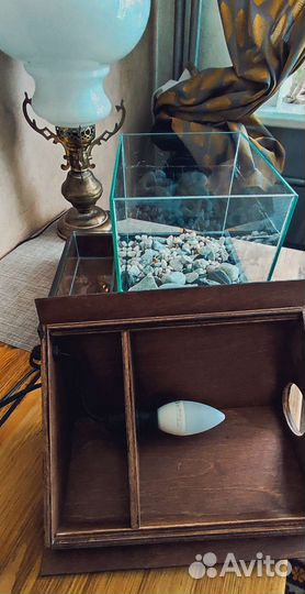 Аквариум c флорариумом