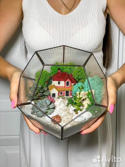 Флорариум подарок букет суккуленты дом цветы
