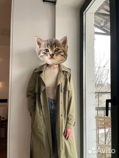 Плащ тренч женский