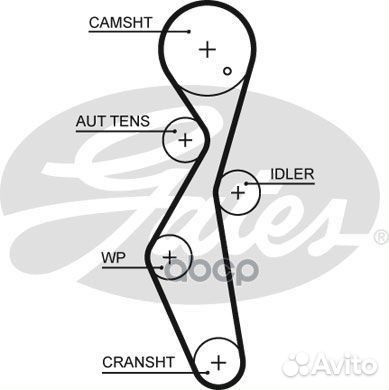 Комплект ремня грм ford 2.0D 14- (с помпой) KP2