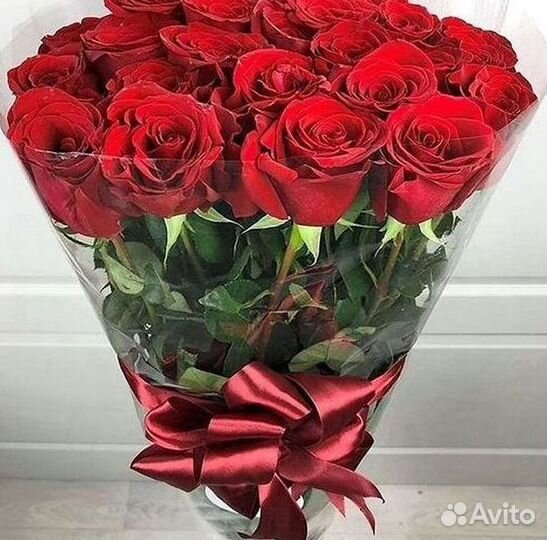 Розы гиганты 140 150 160 170 180 200