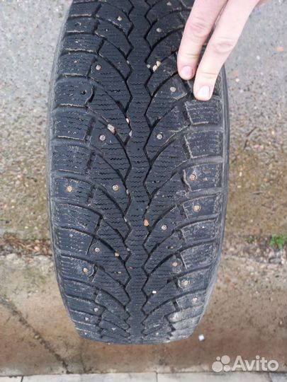 Formula Ice 195/65 R15