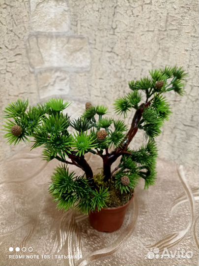 Сувенир ёлочка-банзай