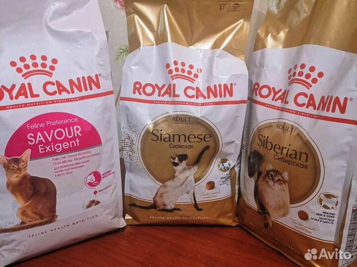 Корм для кошек Royal canin 10 кг Hair&Skin