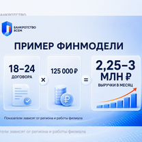 Доходная франшиза с выручкой 2-3млн. в месяц, Люберцы