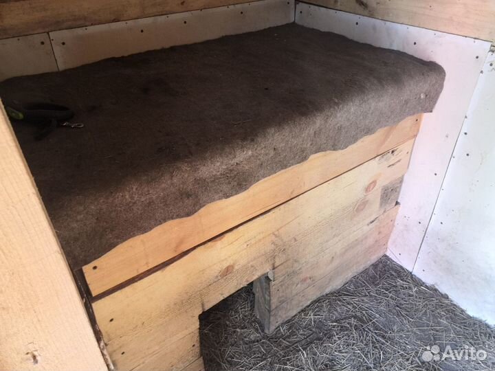 Вольер для собаки