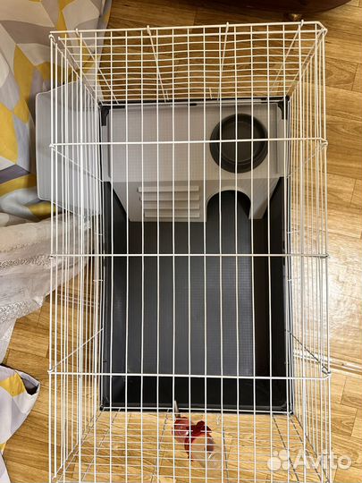 Клетка для кроликов и морских свинок с поильником