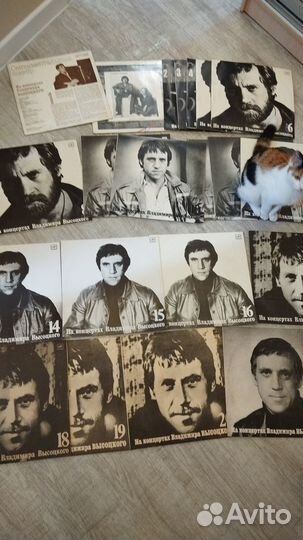 Виниловые пластинки высоцкого
