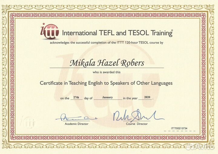 Английский язык с носителем США