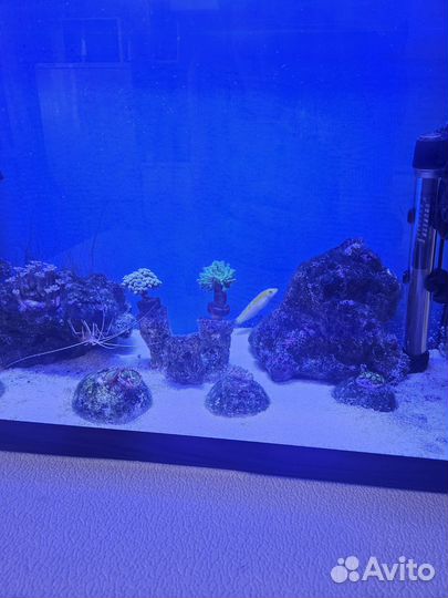 Морской аквариум комплект